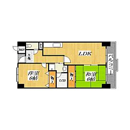 コートグレース