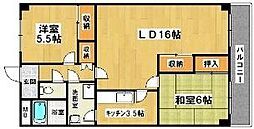 ルミエール・フカキ