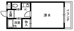 メゾンドプラトン
