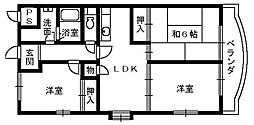 パラディアンフレール