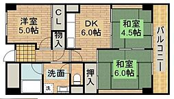 ルネ羽衣