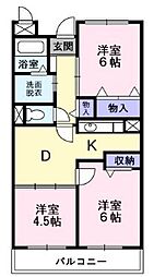 ブランドール板原