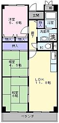 Friends　ship　高石