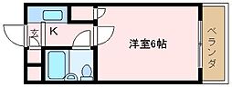 プレシャスアルモニ