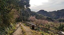 安房郡鋸南町横根