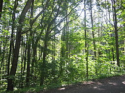 野尻湖高原　緑の村