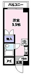 カルムフジミ 303