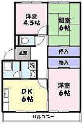 住吉中央マンション 305