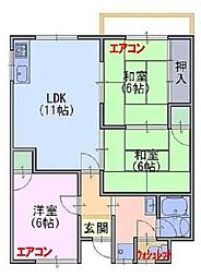 ラフレシア山崎 203