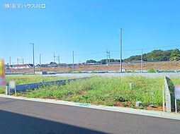 春日部市新宿新田の土地