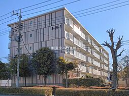 三郷早稲田団地3-19-3号棟