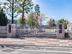 春日部市粕壁東４丁目の土地