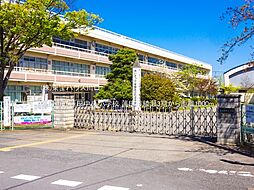 蓮田市綾瀬