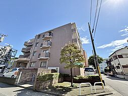 ベルドゥムール草加松原