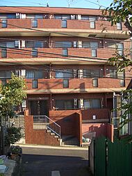 ヴァンハウス横須賀中央 305