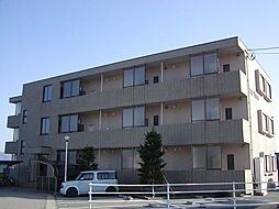 ザ・ビューズ ２０１