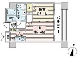 ラフィネタワー札幌南3条