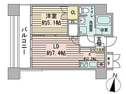 ラフィネタワー札幌南3条