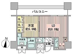 ラフィネタワー札幌南3条