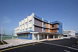 桃山町元　土地