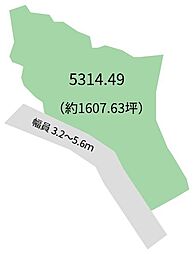 田辺市本宮町大居　土地