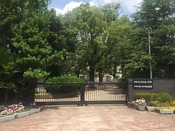 和歌山市岩橋　土地