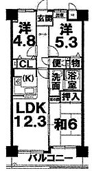 コスモ岩出