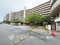 ダイアパレスワンダースケープ