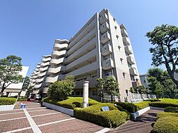 綱島ハイム