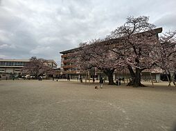 土浦市真鍋６丁目