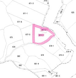 大字木上売土地