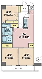 ミューアダマスグランテ