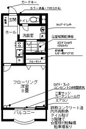 サニーヒルフナツヤ 210