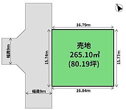 生目台東1丁目の80坪整形地。建築条件なし。