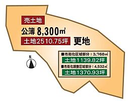 伏見区日野北山