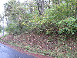 飯縄高原、高岡別荘地