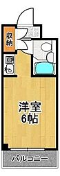 ビバリーヒルズ泉尾