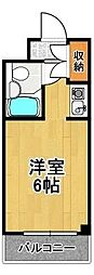 ビバリーヒルズ泉尾 5C
