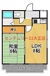 COSMO蓮井