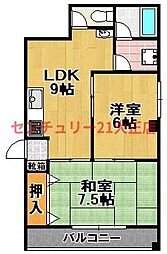 メゾンメイプル