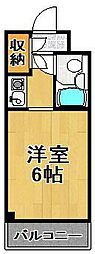 ビバリーヒルズ泉尾