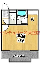 COSMO蓮井
