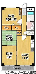コージーコート