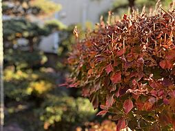 国分寺市戸倉三丁目　戸建