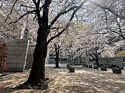 グランプラド国分寺