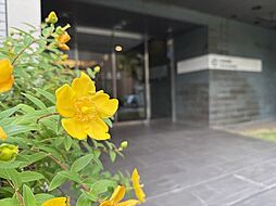 カサーレ府中中河原