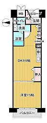 パシフィックビスタ2