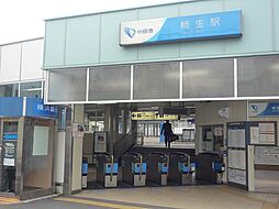 新百合王禅寺ガーデニア