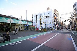 ミオカステーロ稲田堤