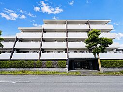 サングレイス十日市場